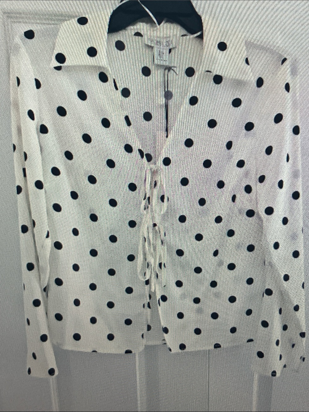 Rachel Zoe White Blouse with Black Polka Dots and Front Tie